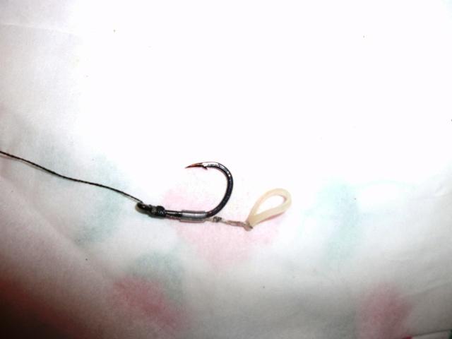 montura pentru boilies solubil - gedc0246.JPG